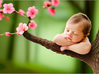 新生儿上班族的脐带护理时间线