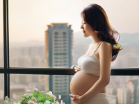 备孕新手版备孕误区手册