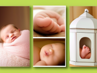 新生儿安抚方法模板