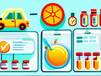 备孕期间疫苗评估时间线要点