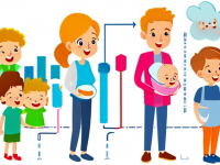 育儿喂养断奶过渡流程图速查