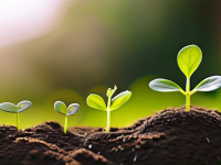 育儿成长路上的误区与反思