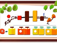 备孕优生优育常识流程图表